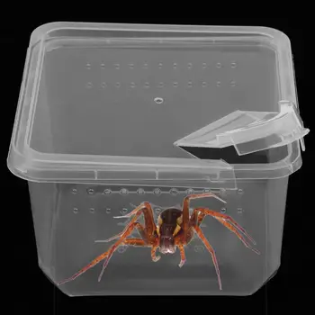 Prozirna Plastična Kutija Za Hranjenje Pauk, Posuda za Hranjenje 12x12x7 cm